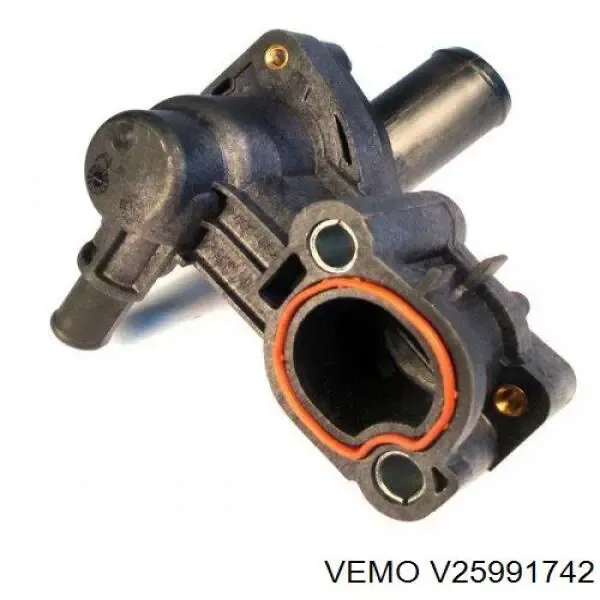 V25991742 Vemo
