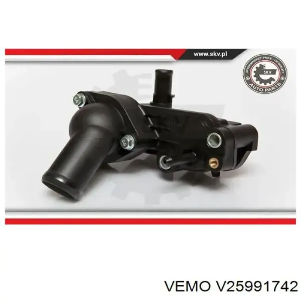 V25991742 Vemo