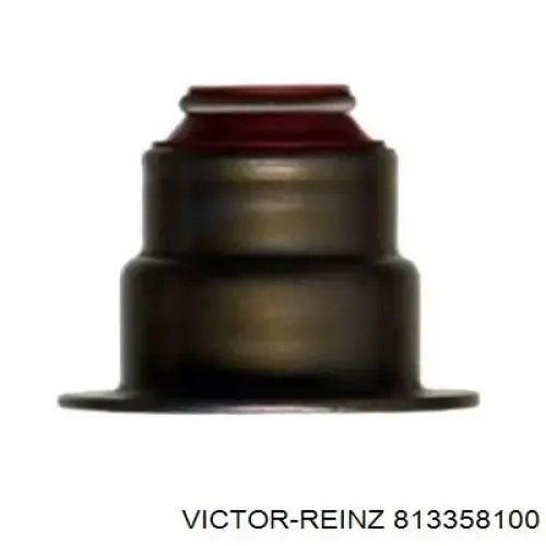 813358100 Victor Reinz