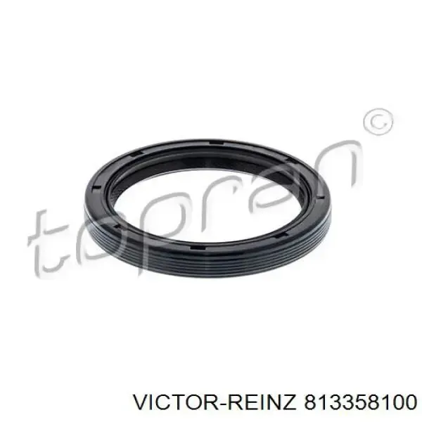 813358100 Victor Reinz