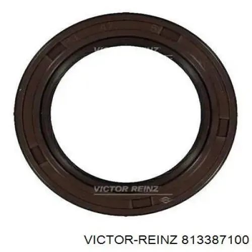 813387100 Victor Reinz