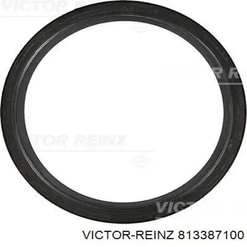 813387100 Victor Reinz