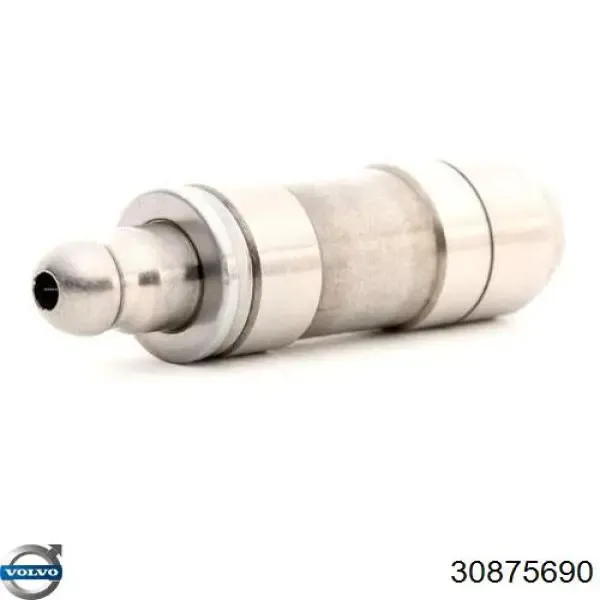 MD171130 Mitsubishi Taqués de motor