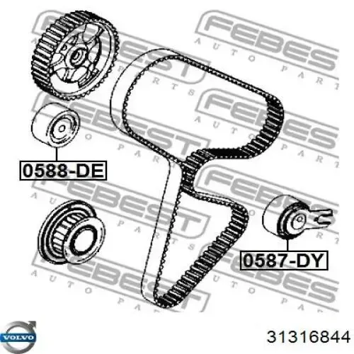 Rodillo, cadena de distribución Volvo S80 2 AS, AR