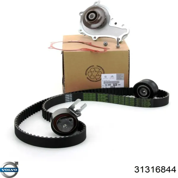 Rodillo, cadena de distribución Volvo S80 2 AS, AR