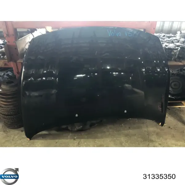 Capó 31335350 Volvo