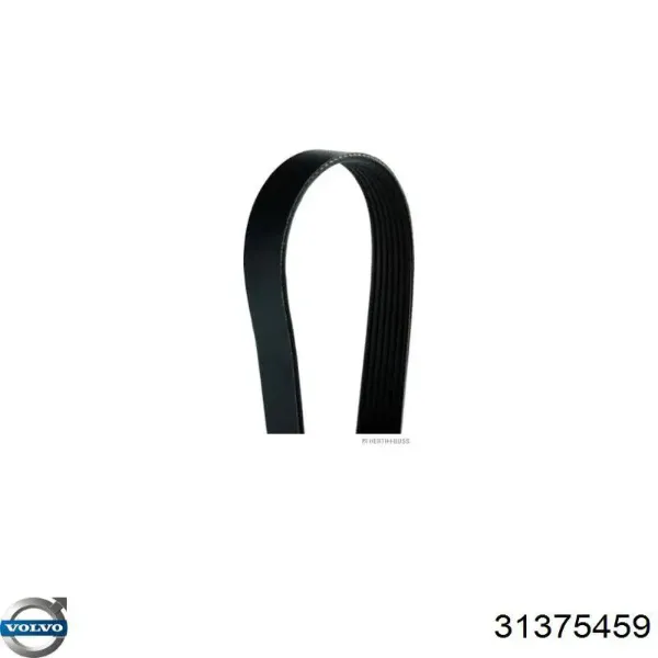 Correa de alternador 31375459 Volvo