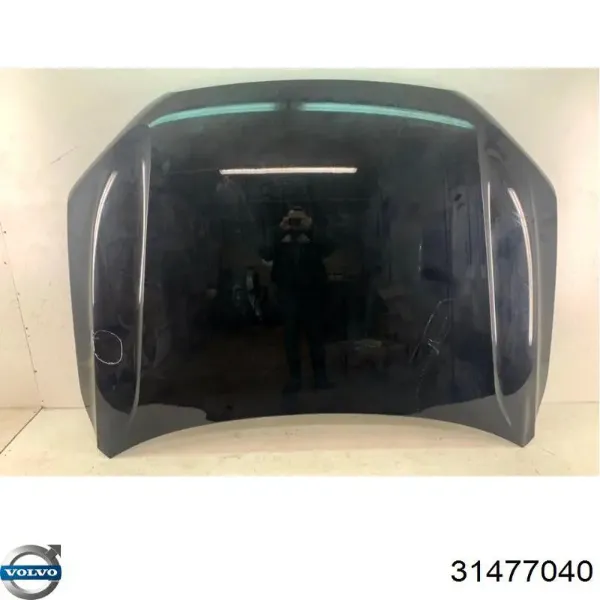 Capó 31352880 Volvo