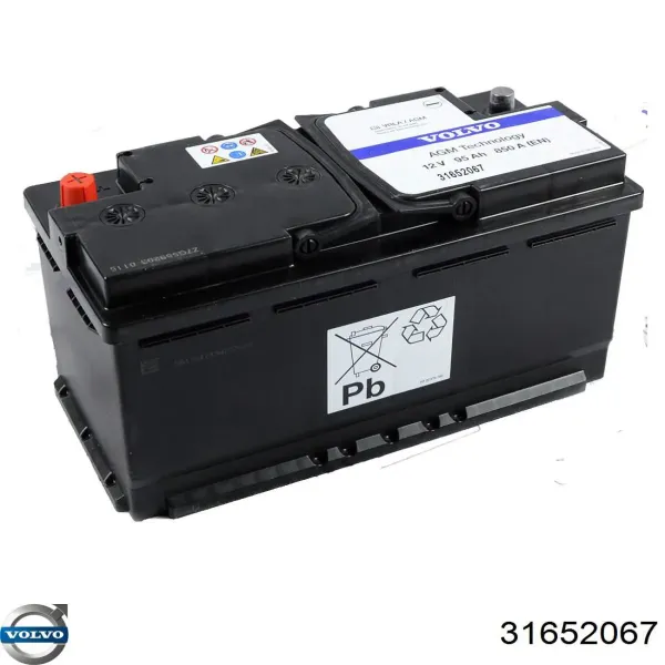 V99170020 Vemo
