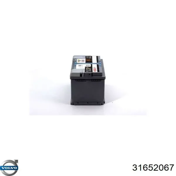 V99170020 Vemo