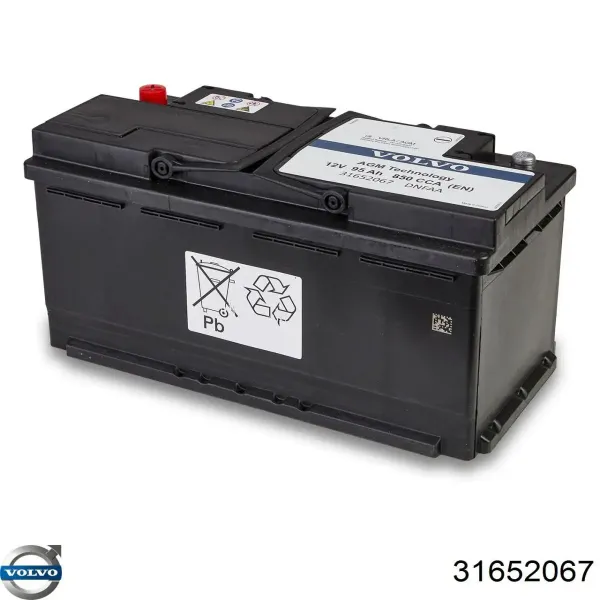 V99170020 Vemo