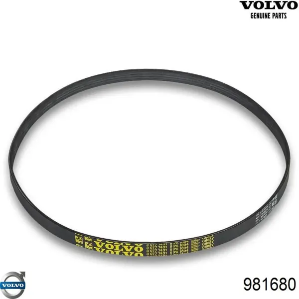 Correa de alternador 11A1005C Dayco