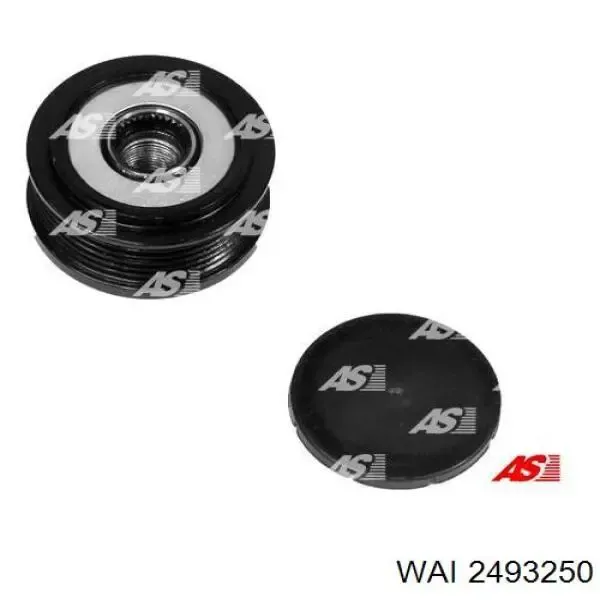 V24230004 Vemo