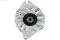 Escobilla de carbón, alternador Ford Focus 2 DA, FFS, DS