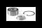 Cojinete de rueda trasero Ford Fiesta GFJ