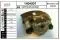 Sensor de presión de combustible Opel Astra F69