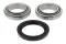 Cojinete de rueda trasero Ford Fiesta GFJ