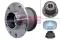 Cubo de rueda trasero Fiat Ducato 3 250