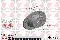 Disco de freno trasero Opel Astra 51, 52, F35, M35