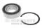 Cojinete de rueda trasero KIA Sportage 3 SL