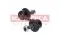 RL513204H Raiso