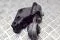 Soporte motor delantero Nissan Qashqai 2 J11