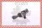WHT003862C VAG/Seat
