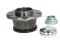 Cubo de rueda trasero Fiat Ducato 3 250