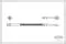 Latiguillo de freno delantero Opel Astra 51, 52, F35, M35
