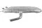 T402643 STC