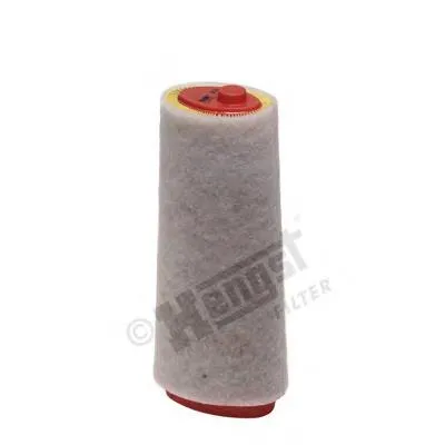 E377L Hengst