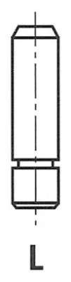 G11459 Freccia