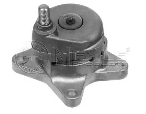 Tensor de correa poli V 0140200076 Meyle