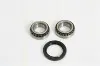 Cojinete de rueda trasero Ford Fiesta GFJ