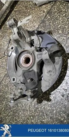 Protector de disco de freno delantero derecho 9806779480 Peugeot/Citroen
