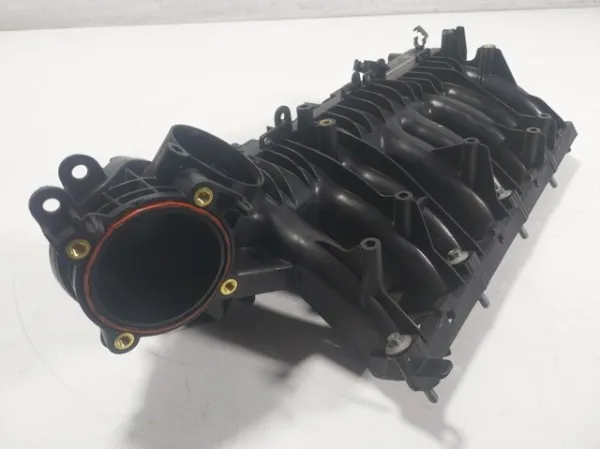  AJ813414 Jaguar