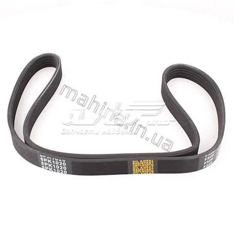 Correa de alternador 1307012E06 Great Wall