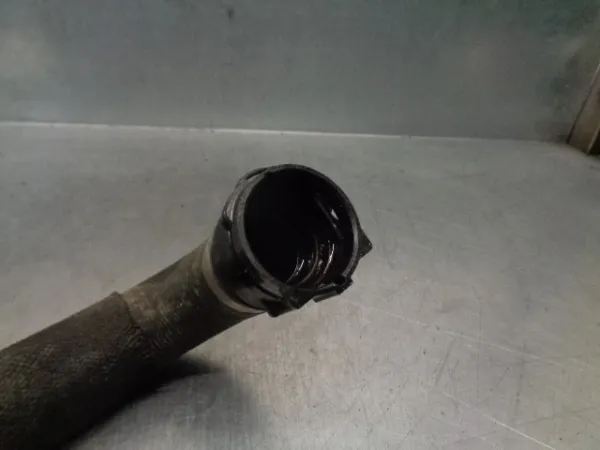  17128581029 BMW