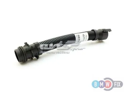 Tubo De Ventilacion Del Carter (Separador de Aceite) BMW 13717810772