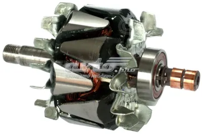 Rotor del alternador CARGO 138039