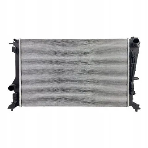 Radiador 214102845R Renault (RVI)