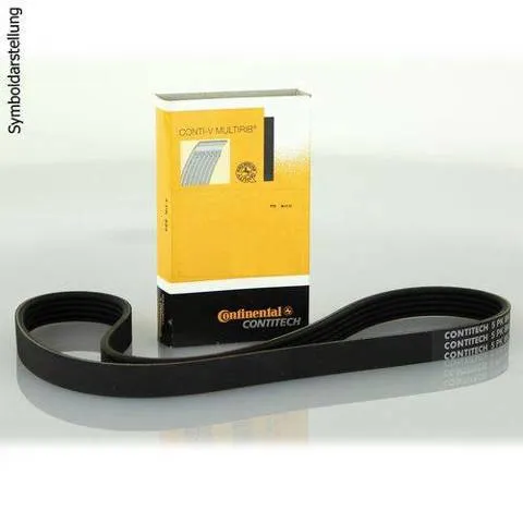 Correa de alternador 7PK1113 Continental/Siemens