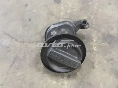 Llenado de aceite BMW 11127810586