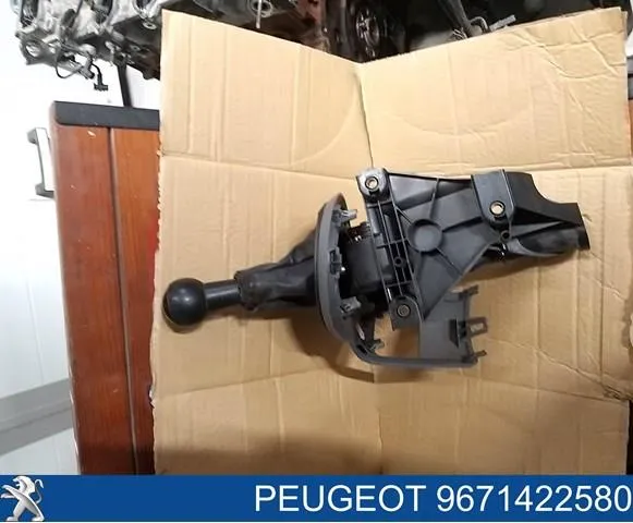  9671422580 Peugeot/Citroen