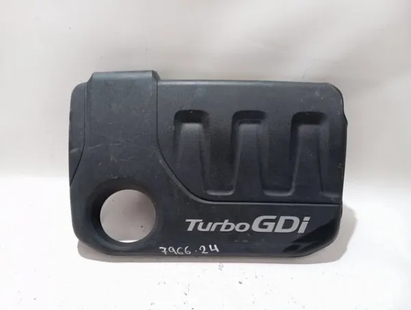 Tapa motor 2924204500 Hyundai/Kia
