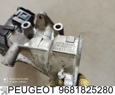 Válvula, AGR PEUGEOT 9681825280