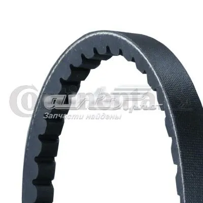 Correa de accesorios CONTINENTAL AVX13X850