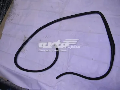 Junta de puerta delantera izquierda (en carrocería) HYUNDAI 821103S000RY