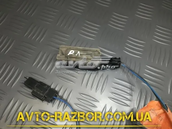 Luz matricula 7700842700 Renault (RVI)