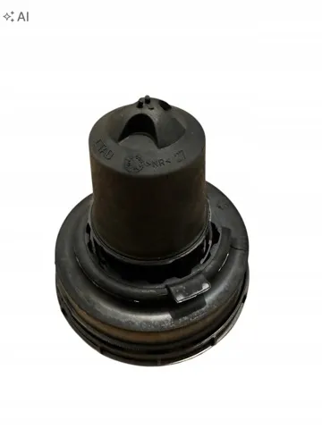  9831086380 Peugeot/Citroen